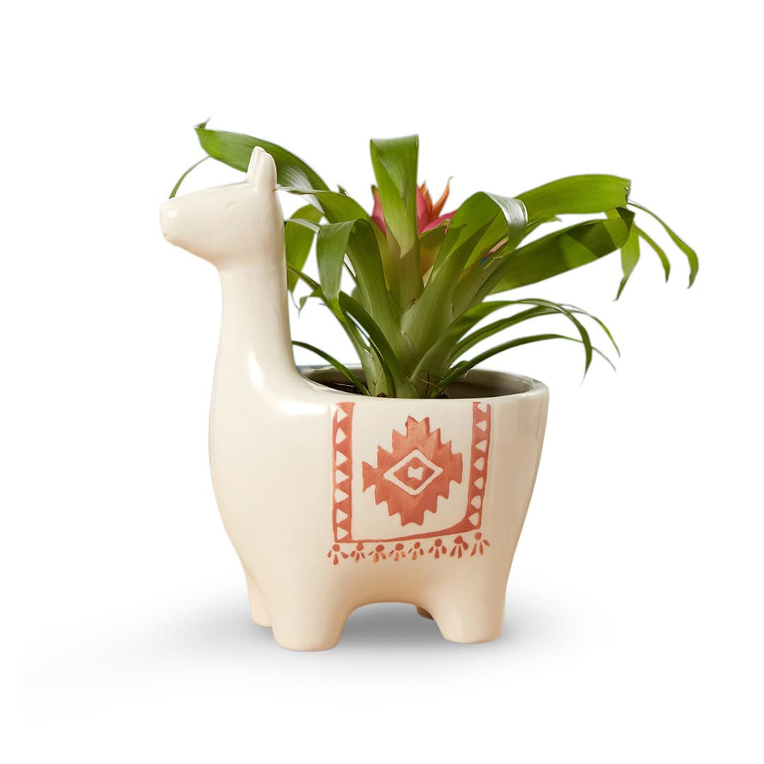 next_Llama-Plant-Pot
